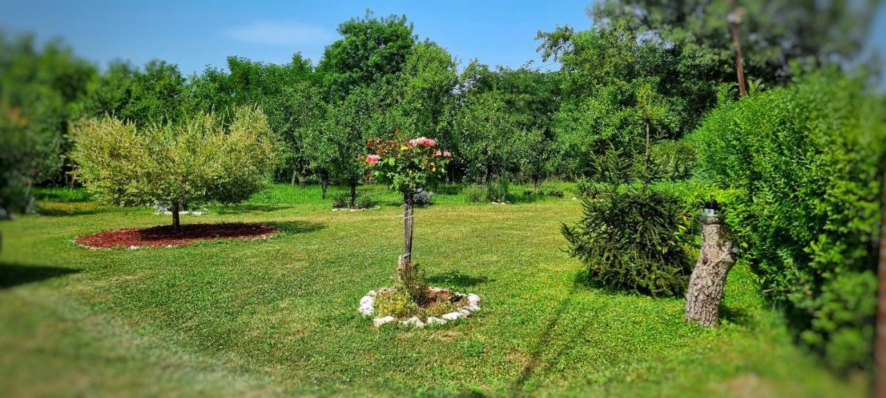 Gajica Konak-Orasac Аранджеловац Екстер'єр фото